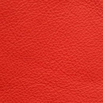 zookbinders red glove leather
