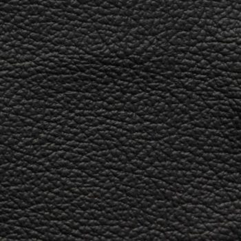 Zokbinders album - standard black leather cover