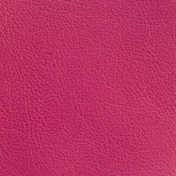 zookbinders rasberry glove leather