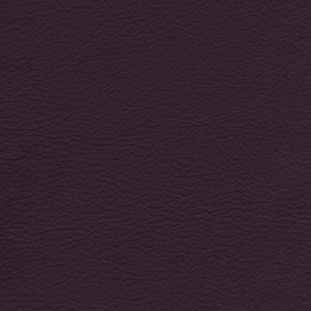 Zookbinders Glove Plum
